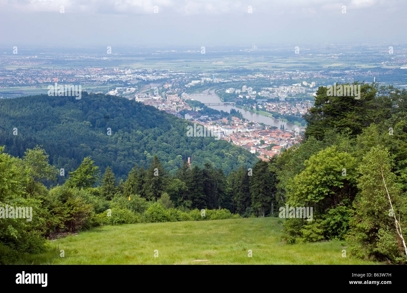 Vue d'Heidelberg et le Neckar à partir de la chaise du Roi ou du Königstuhl ou trône. Banque D'Images