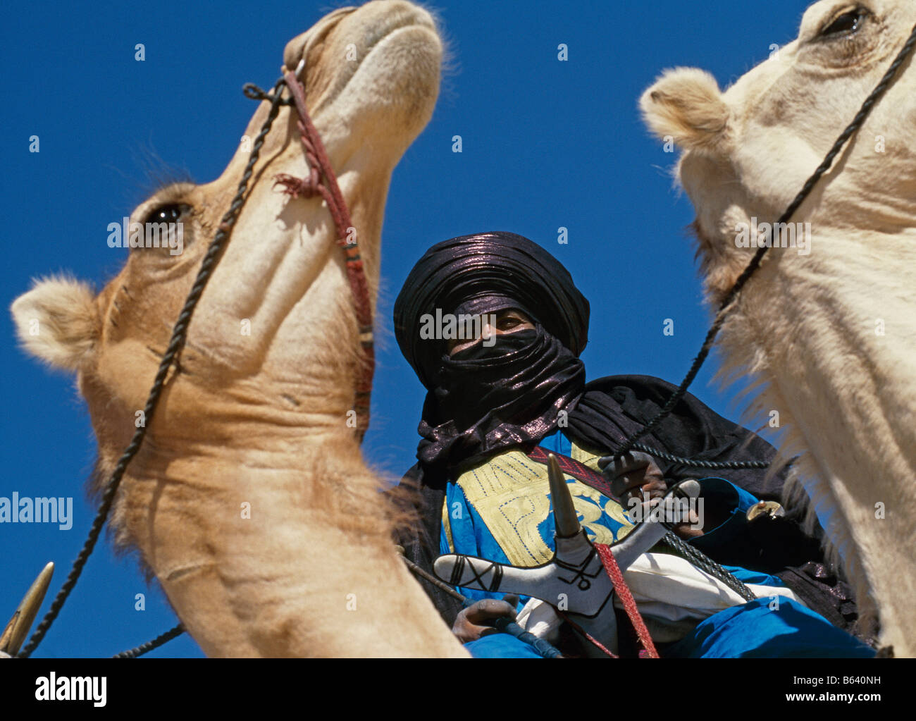 L'Algérie, Tamanrasset. L'homme de tribu touareg au cours de l'springfestival TAFSIT ou. Désert du Sahara. Banque D'Images