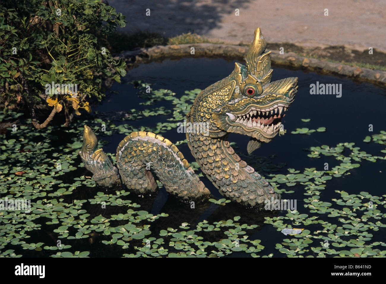Dragon dans l'eau d'ornement thaïlandais le jardin, la piscine ou l'étang, Chiang Mai, Thaïlande Banque D'Images
