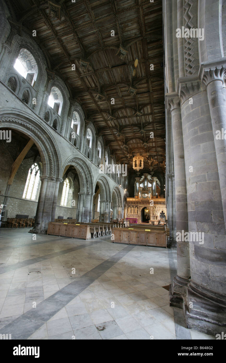 Ville de St David's, au Pays de Galles. La nef et le sanctuaire du 12ème siècle, la cathédrale de St David's. Banque D'Images