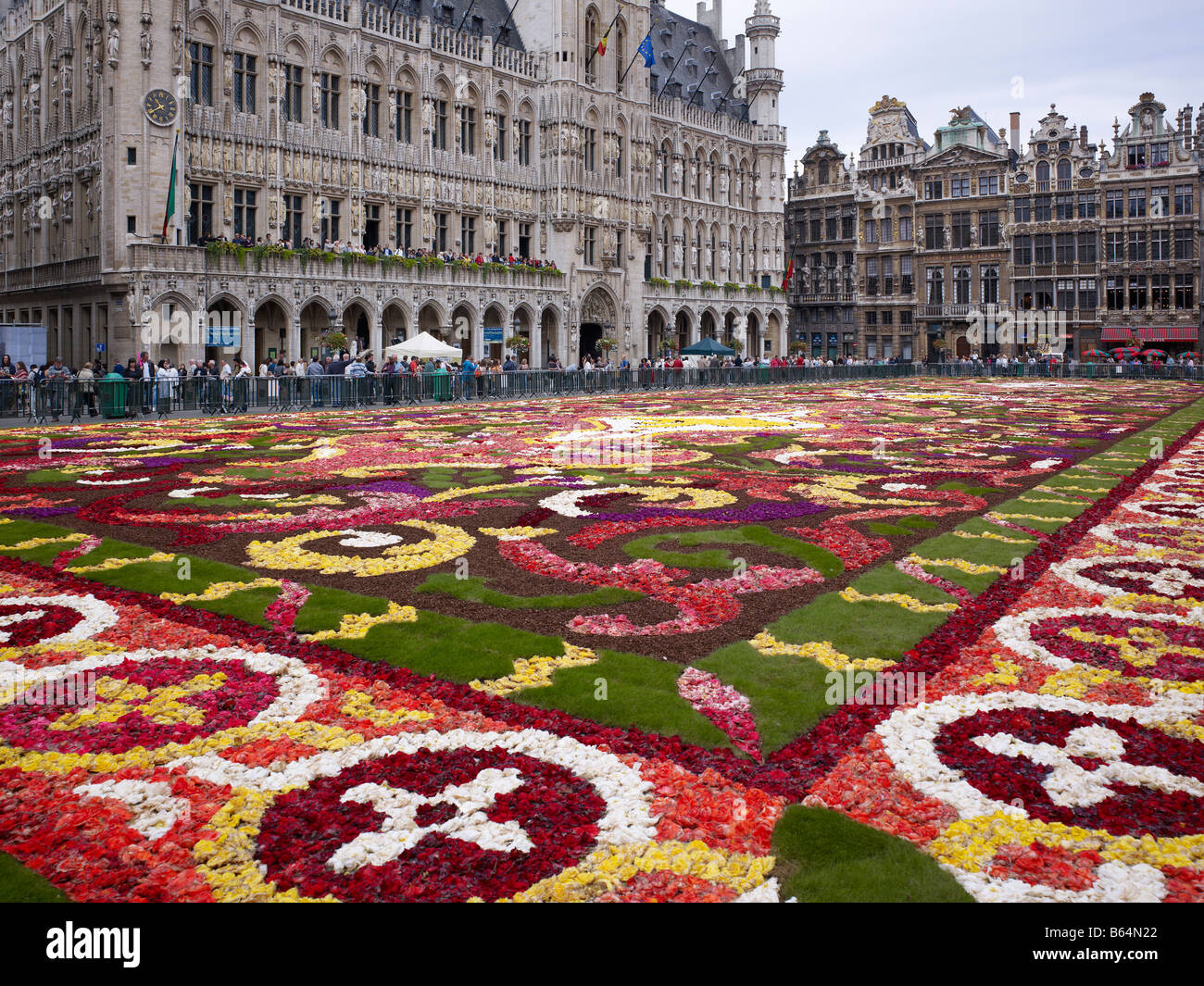 Tapis de fleurs sur la Grand Place Bruxelles, Brabant, Belgique, Europe Banque D'Images