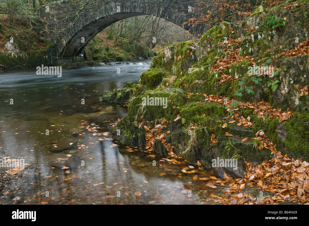 À la rivière Brathay Clappersgate Parc National de Lake District Cumbria Banque D'Images