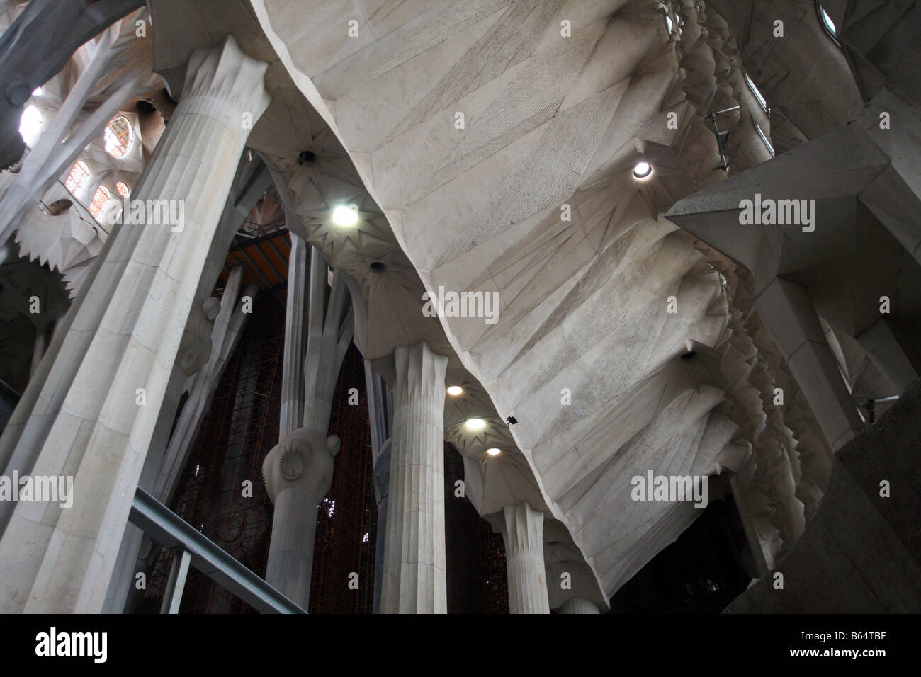 Sagrada Familia - colonnes intérieures et de toit (le Temple Expiatori de la Sagrada Família) [Barcelone, Catalogne, Espagne, Europe].. Banque D'Images