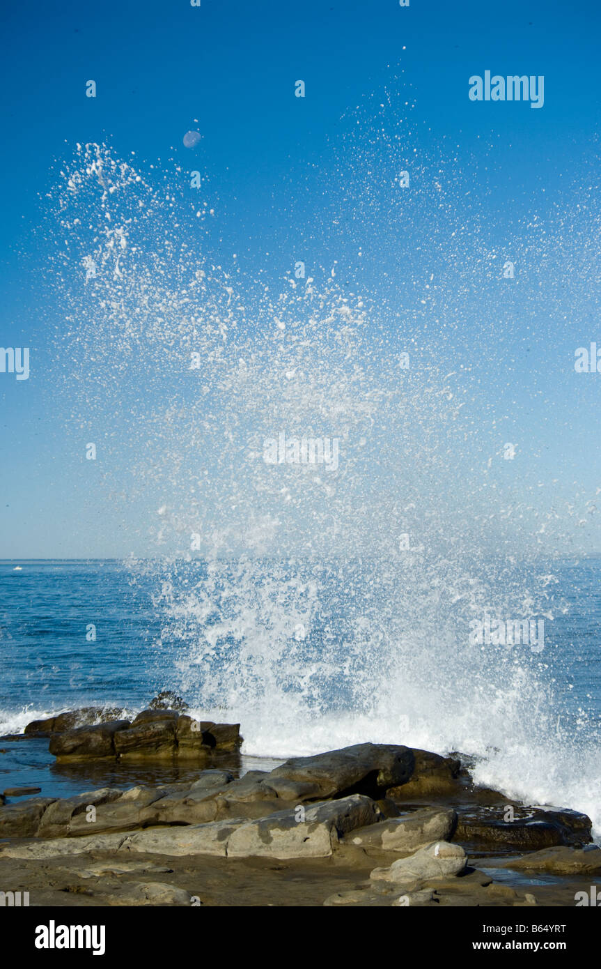 Vue de La Jolla Cove vagues lune splash Ellen Browning Scripps Park La Jolla en Californie La Jolla en Californie Banque D'Images