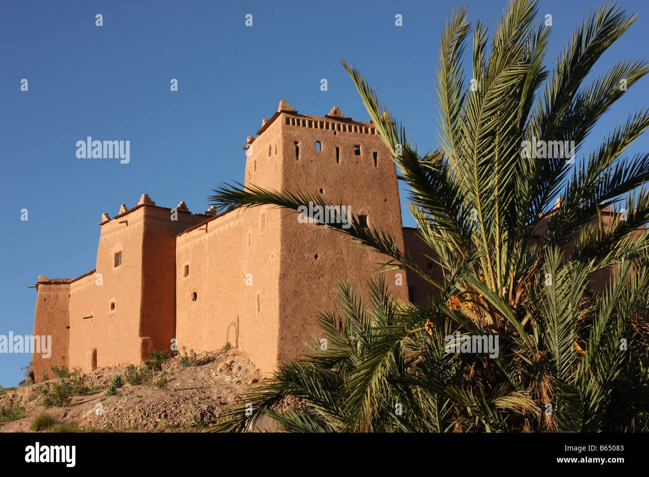 Kasbah en pisé avec tour Date Palm à Ouarzazate Maroc Banque D'Images