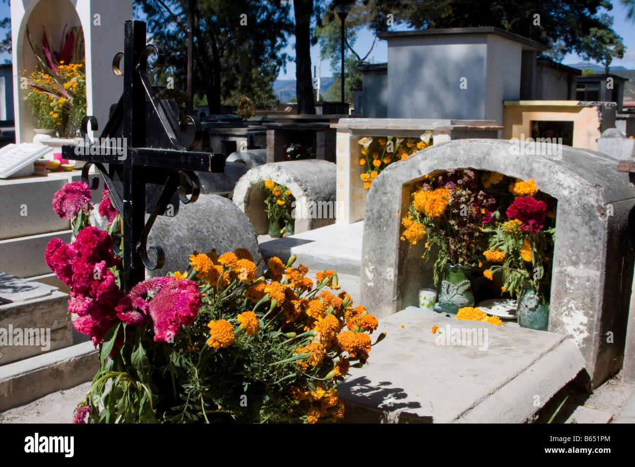 Matatlan, Oaxaca, Mexique. Le Jour des Morts La Fête, tombes décorées de fleurs. Banque D'Images