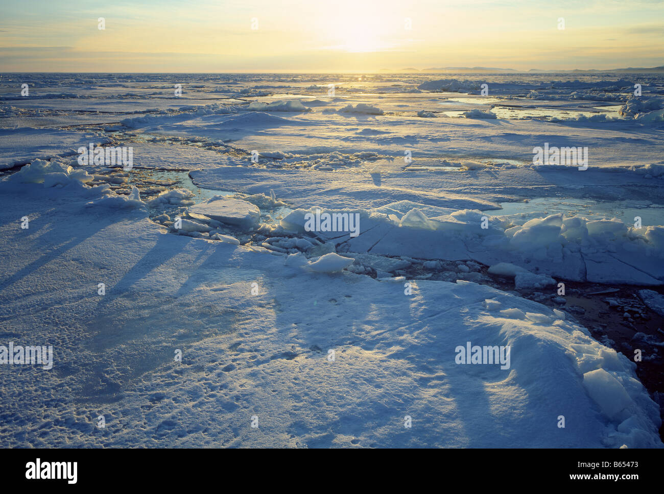 Coucher du soleil de l'Arctique sur la banquise Banque D'Images