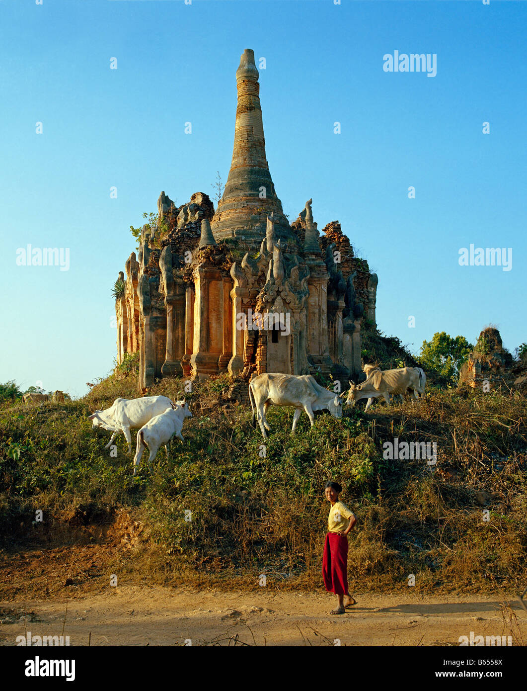 Hirtenfrau Tempelruinen mit Kühen vor den von Shwe Inn Thein élevage femme vaches devant le temple ruines de Shwe Inn Thein Banque D'Images