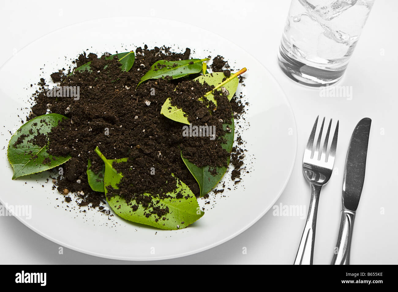Une assiette pleine de feuilles et de terre Photo Stock - Alamy