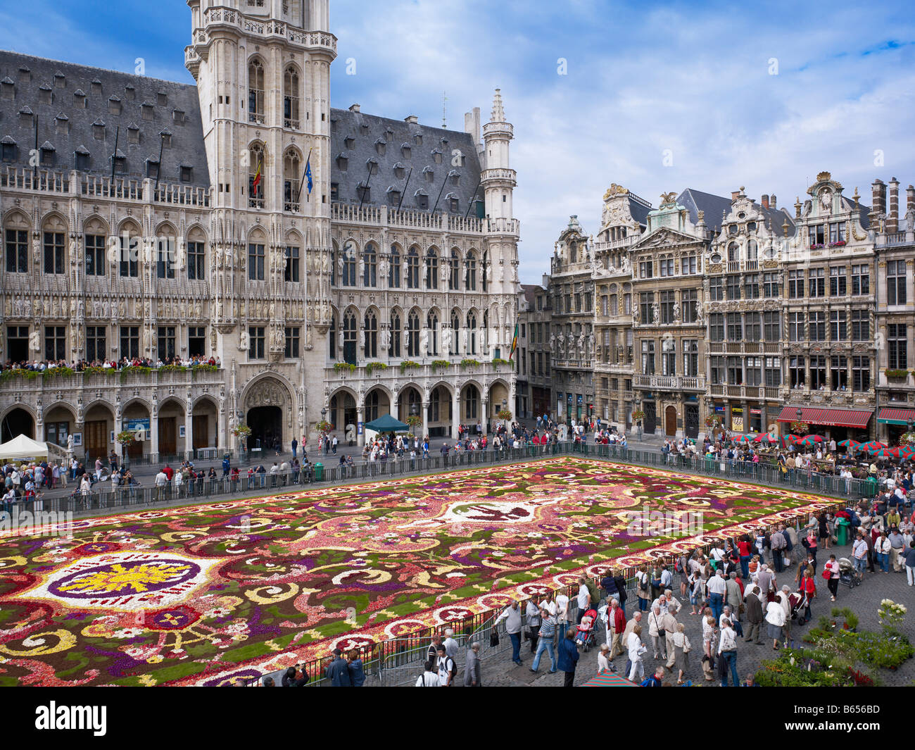 Tapis de fleurs et hôtel de ville sur la Grand Place Bruxelles, Brabant, Belgique, Europe Banque D'Images