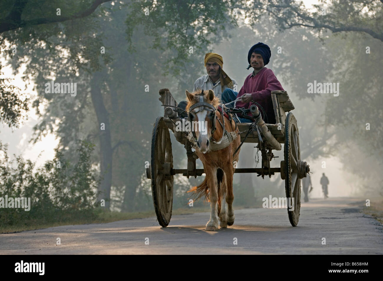 L'Inde, Lucknow, Uttar Pradesh, campagne près de Rae Bareli, matin, scène de rue. Oxcart. Banque D'Images