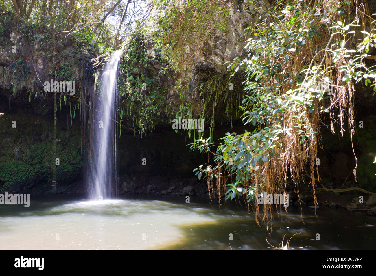 Twin Falls à Route de Hana Maui Hawaii USA Banque D'Images