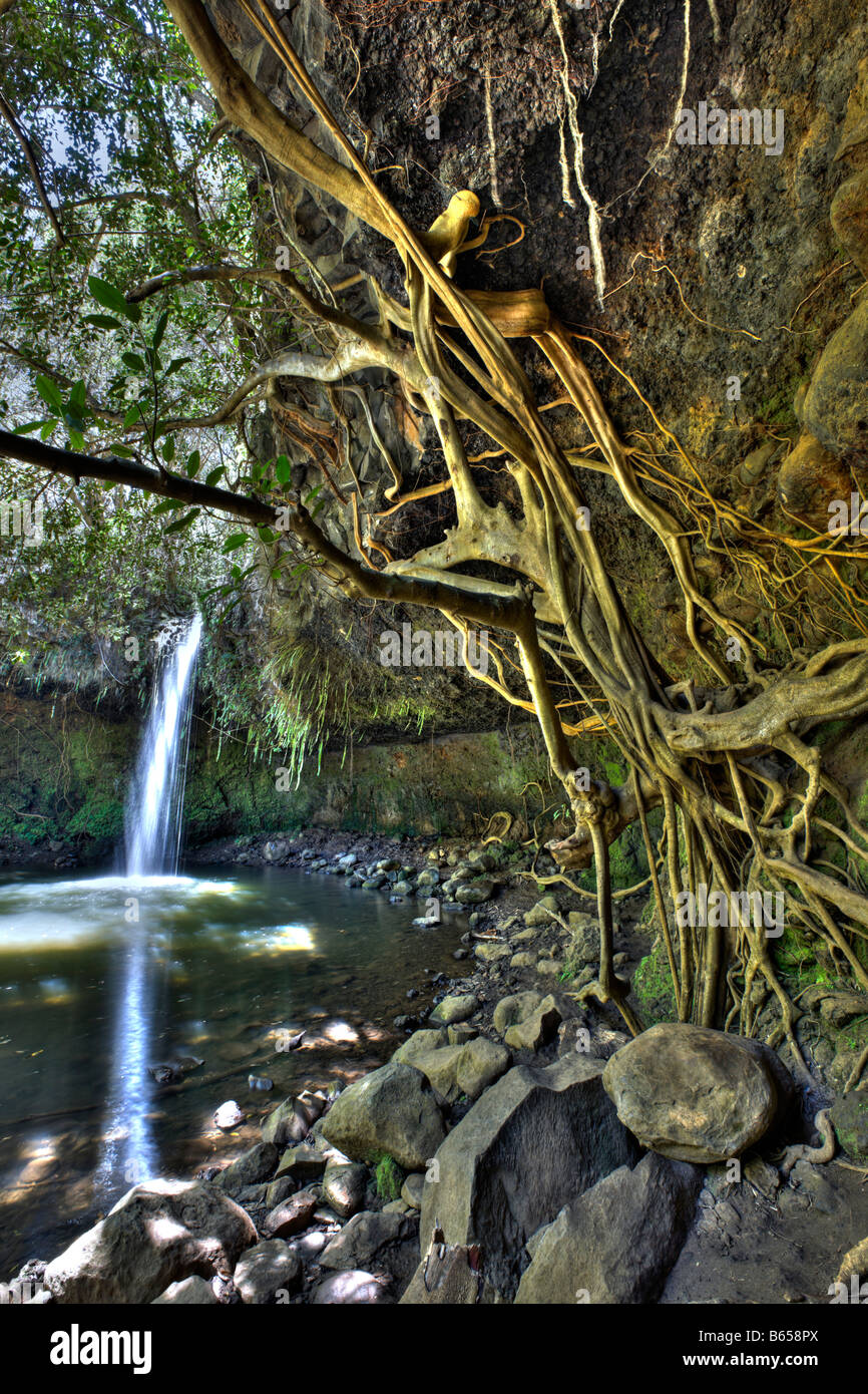 Twin Falls à Route de Hana Maui Hawaii USA Banque D'Images