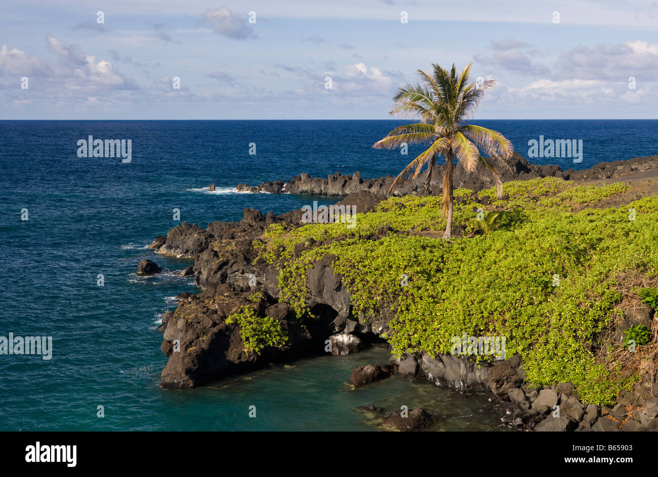 Waianapanapa State Park sur la route de Hana Maui Hawaii USA Banque D'Images