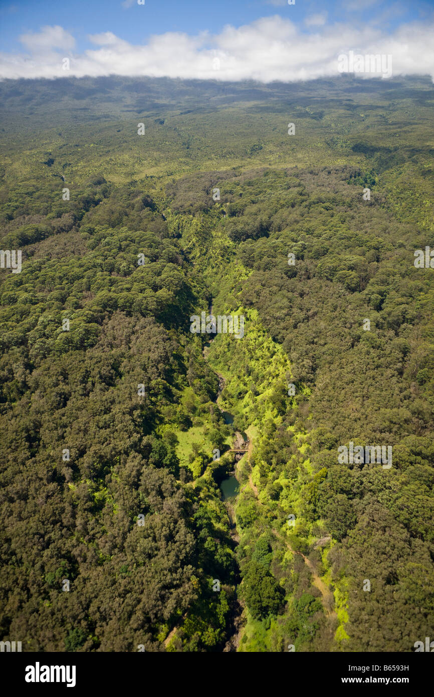 À la vallée de Maui Maui Hawaii Northcoast USA Banque D'Images