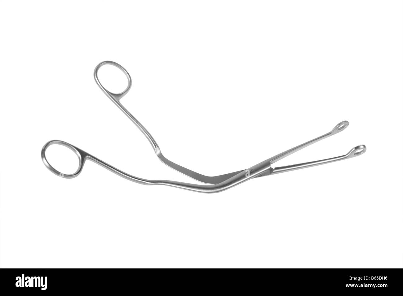 Pharynx et larynx forceps Banque D'Images