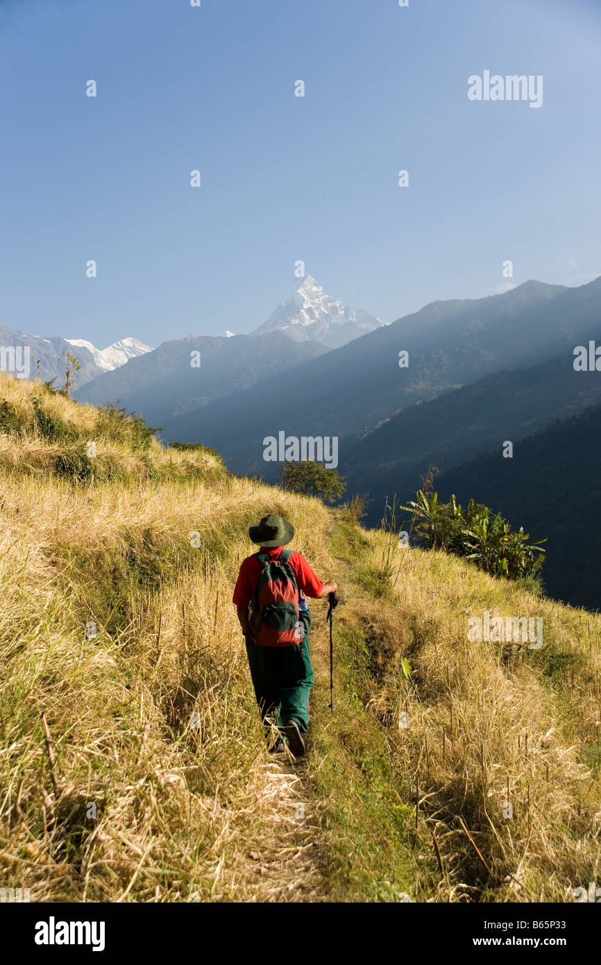 La montagne et les champs en y de la trek jusqu'à la vallée de la rivière Modi Ghandruk village de l'Annapurna dans l'himalaya Banque D'Images