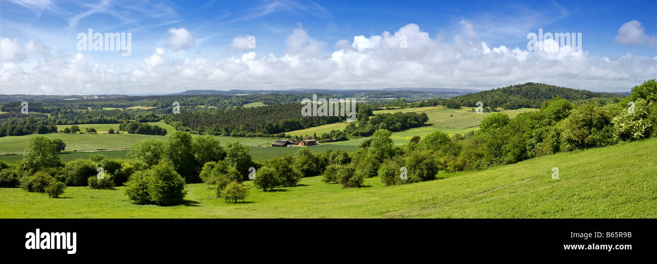 Vue sur le paysage de collines Surrey vers South Downs, collines du Surrey, England, UK Banque D'Images