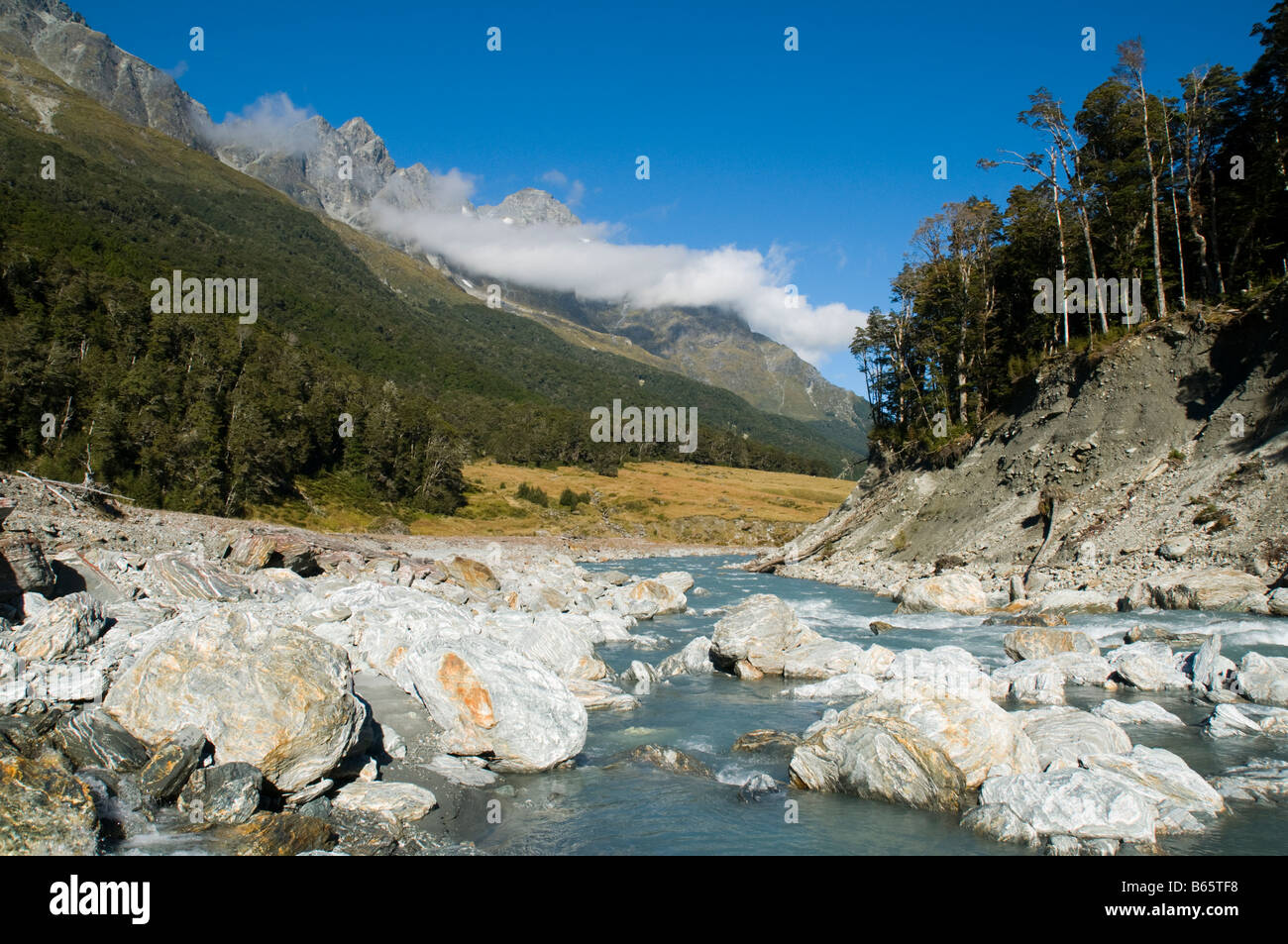 La vallée de la rivière Dart, Rees Dart track, Mount Aspiring National Park, South Island, New Zealand Banque D'Images