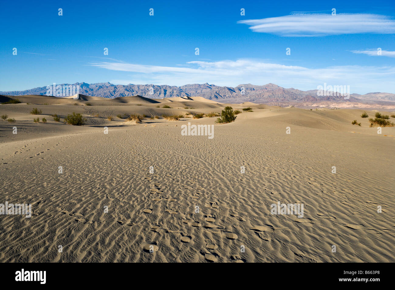 Dunes de sable à l'extérieur de Stovepipe Wells Village, Death Valley National Park, California, USA Banque D'Images