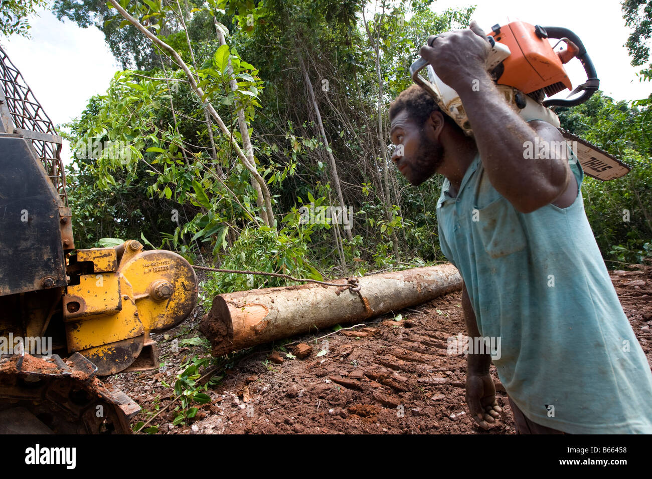 Logging dans East New Britain Island, Papouasie-Nouvelle-Guinée, le lundi 22 septembre 2008. Banque D'Images