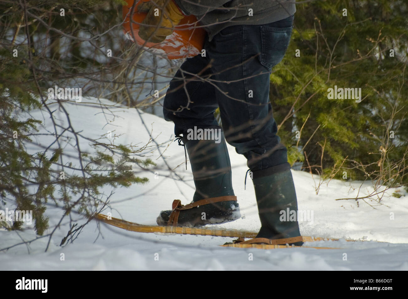 Homme marchant en raquettes sur neige lourde dans les bois Banque D'Images