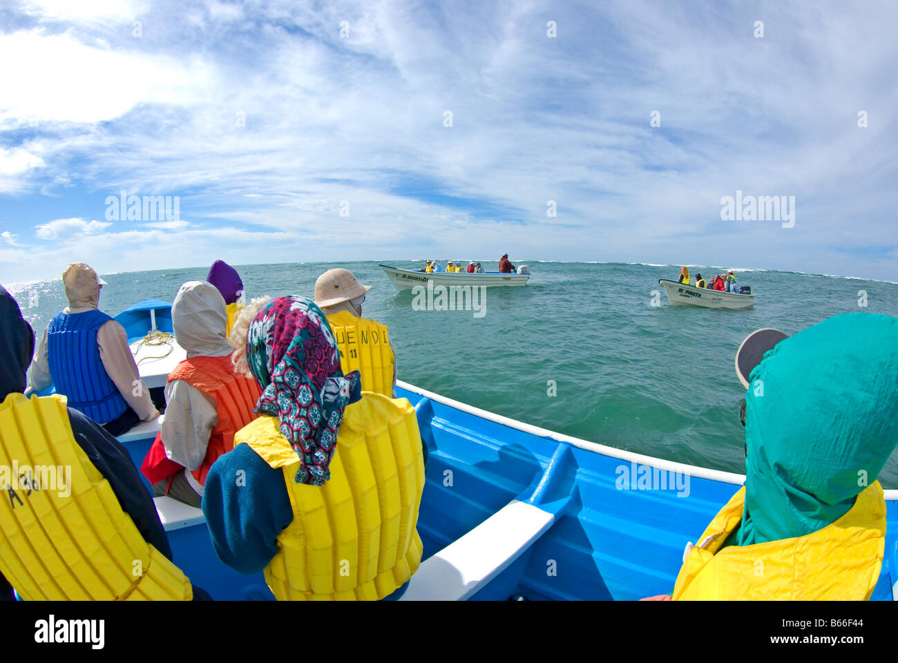 Les touristes des baleines sur Bahia Magdalena Beach, Mexique Banque D'Images