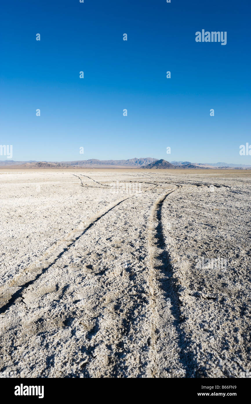 Paysage dans le désert de Mojave sur la Zzyzx Road juste à côté de l'Interstate 15 entre LA et Las Vegas, en Californie, USA Banque D'Images