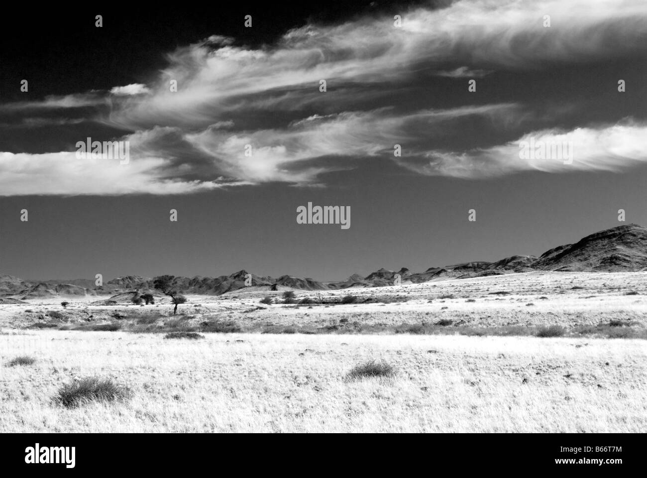 Les pelouses sèches de la Savane namibienne, près de la Namibie Sesriem Banque D'Images