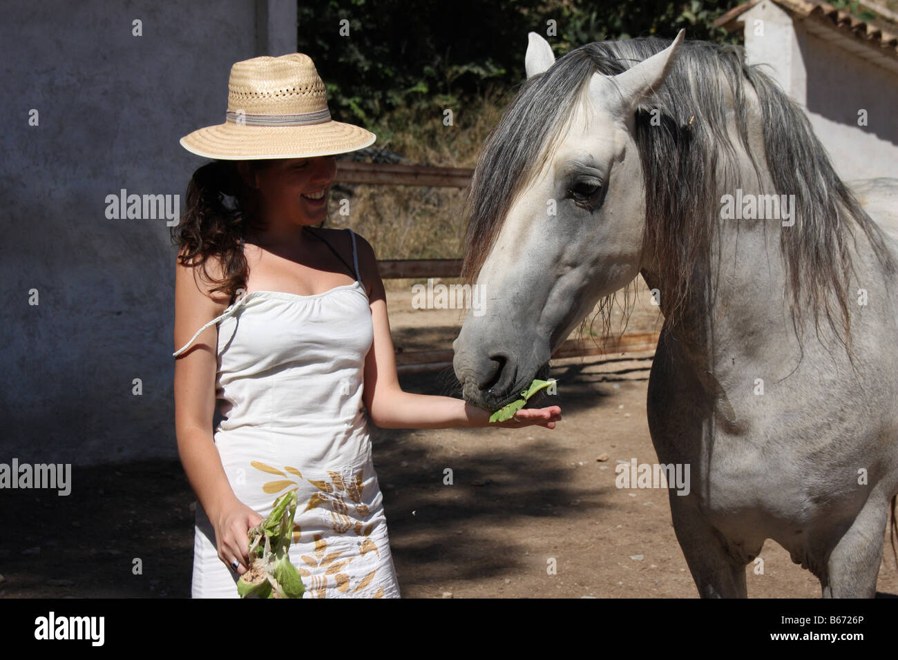 Jeune femme de l'herbe pour nourrir un cheval Banque D'Images