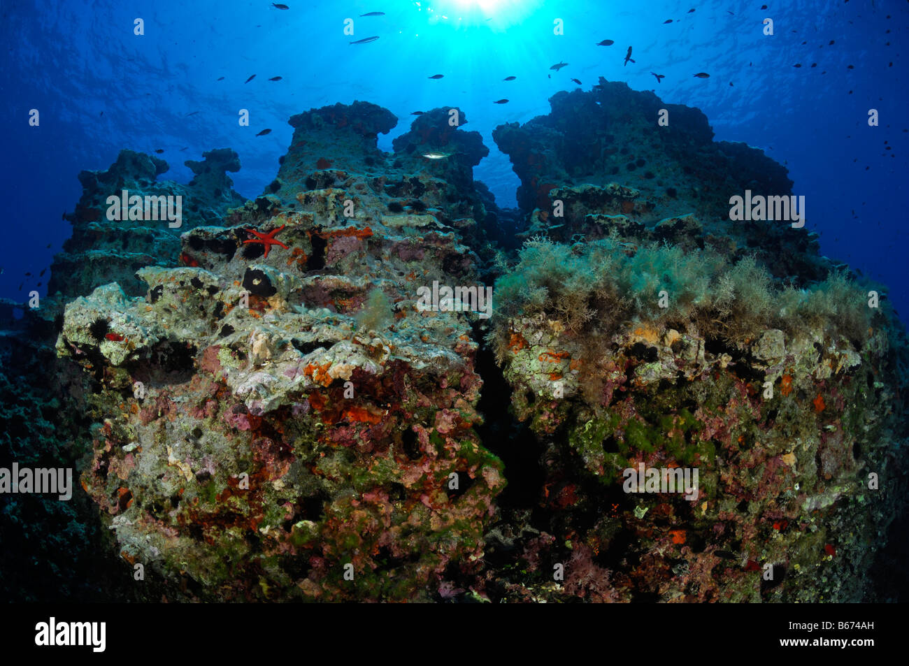 Les formations récifales de l'île de Lastovo Croatie Mer Adriatique Banque D'Images