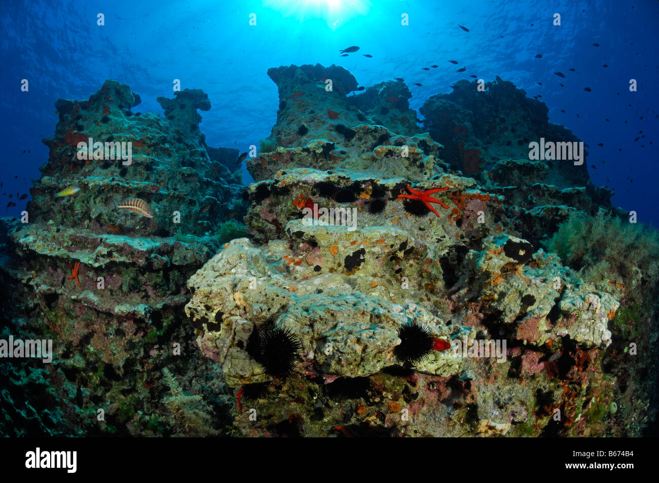 Les formations récifales de l'île de Lastovo Croatie Mer Adriatique Banque D'Images