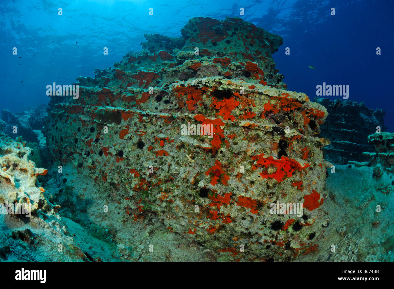 Les formations récifales de l'île de Lastovo Croatie Mer Adriatique Banque D'Images