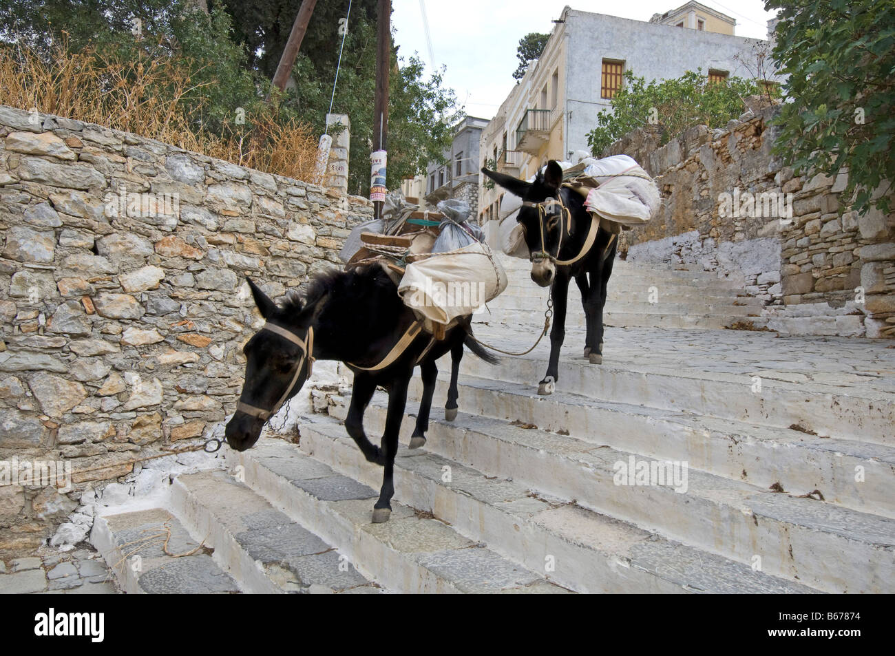 Les constructeurs d'ânes chargés de sacs de pierres marcher dans la 375 l'étape Kali Strata, sur l'île grecque de Symi (SIMI) Banque D'Images