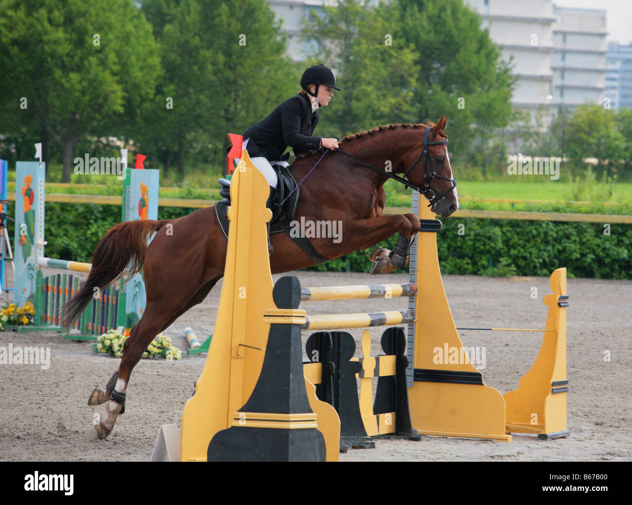 Le sport équestre. Compétition cso. Concour hoppique Banque D'Images