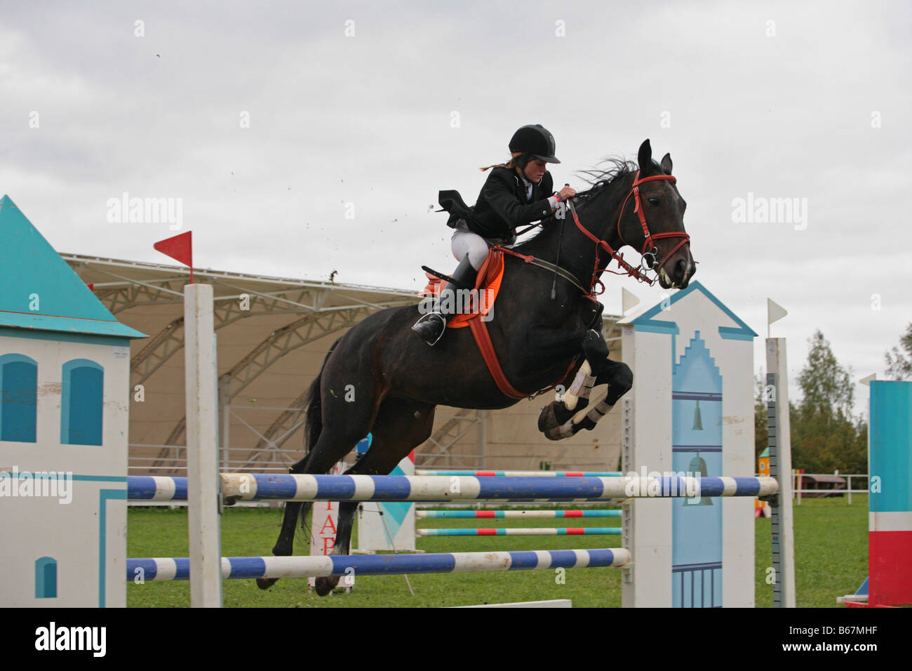 Cavalier équestres pris dans le milieu de sauter avec l'herbe et des clôtures blanches dans l'arrière-plan Banque D'Images