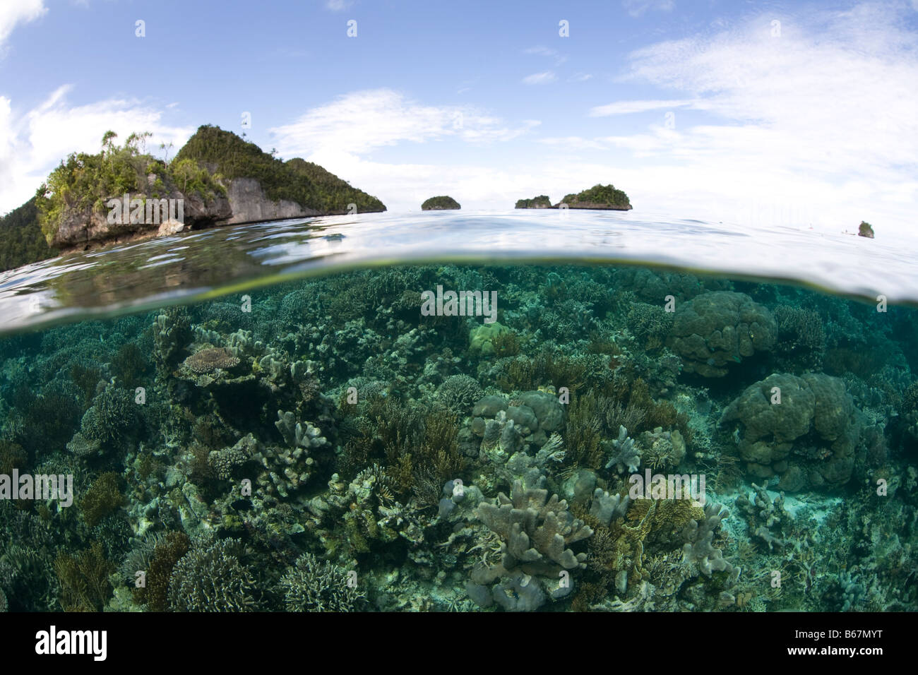 Les récifs coralliens peu profonds Raja Ampat en Papouasie occidentale en Indonésie Banque D'Images
