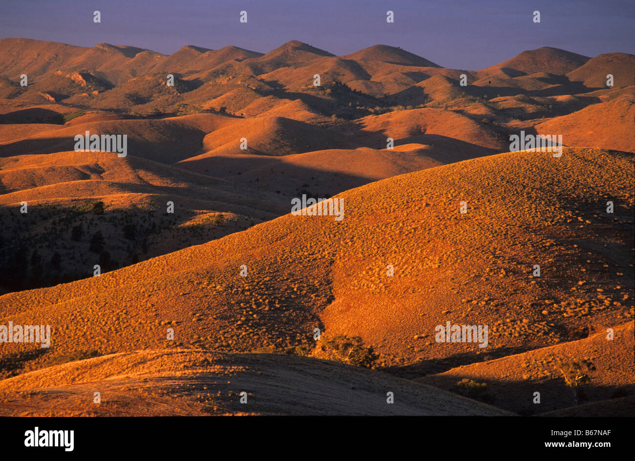 Les collines arides des bunkers, Flinders Ranges, Australie du Sud, Australie Banque D'Images