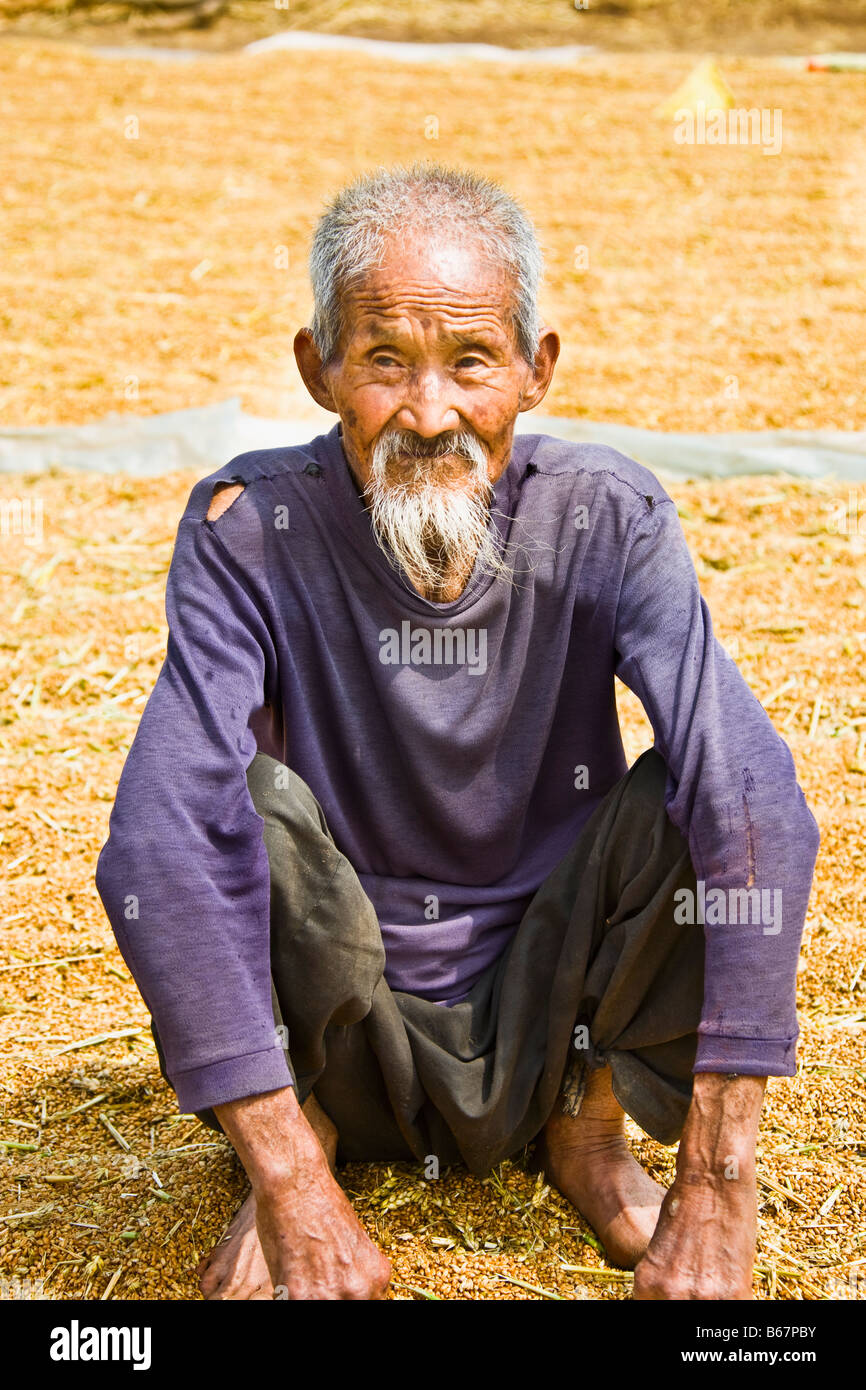 Close-up of a senior man crouching sur du riz grain, Zhigou, Shandong Province, China Banque D'Images