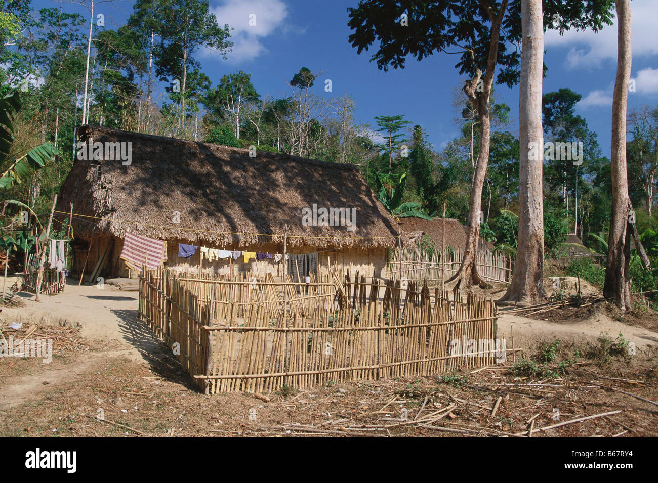 Une maison au milieu d'une forêt tropicale, les îles Andaman, en Inde du Nord Banque D'Images