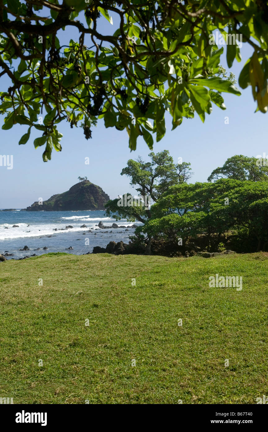 USA, Hawaii, Maui, Hana, Hana Beach Park, arbre, pré, campagne, plage, océan, vague, island Banque D'Images