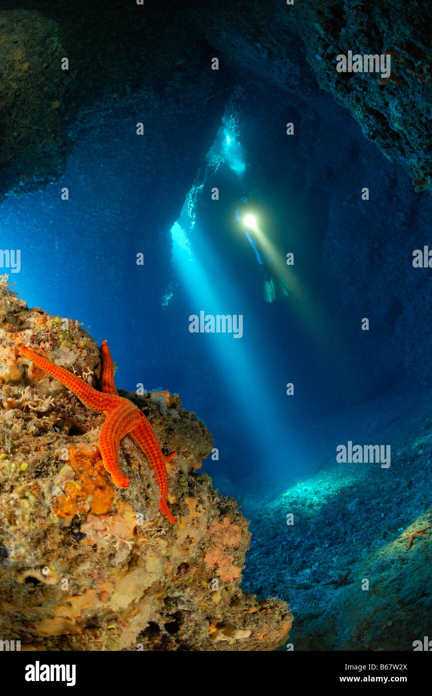 Les étoiles de mer dans l'île de Vis Grotte Croatie Mer Méditerranée Banque D'Images