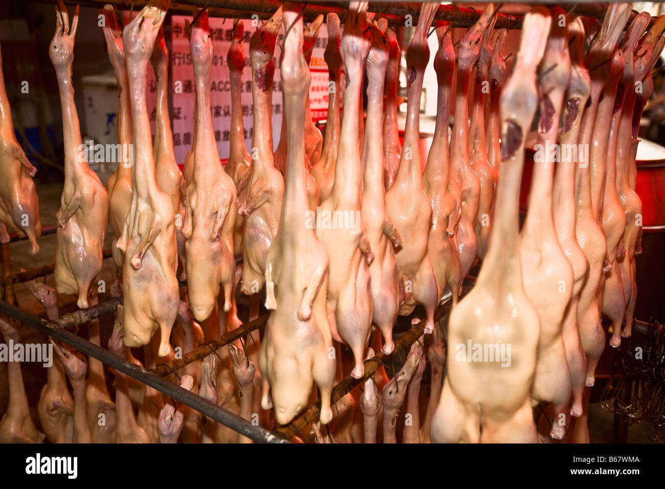 La viande d'oie suspendu à une boucherie, Qingdao, Shandong Province, China Banque D'Images