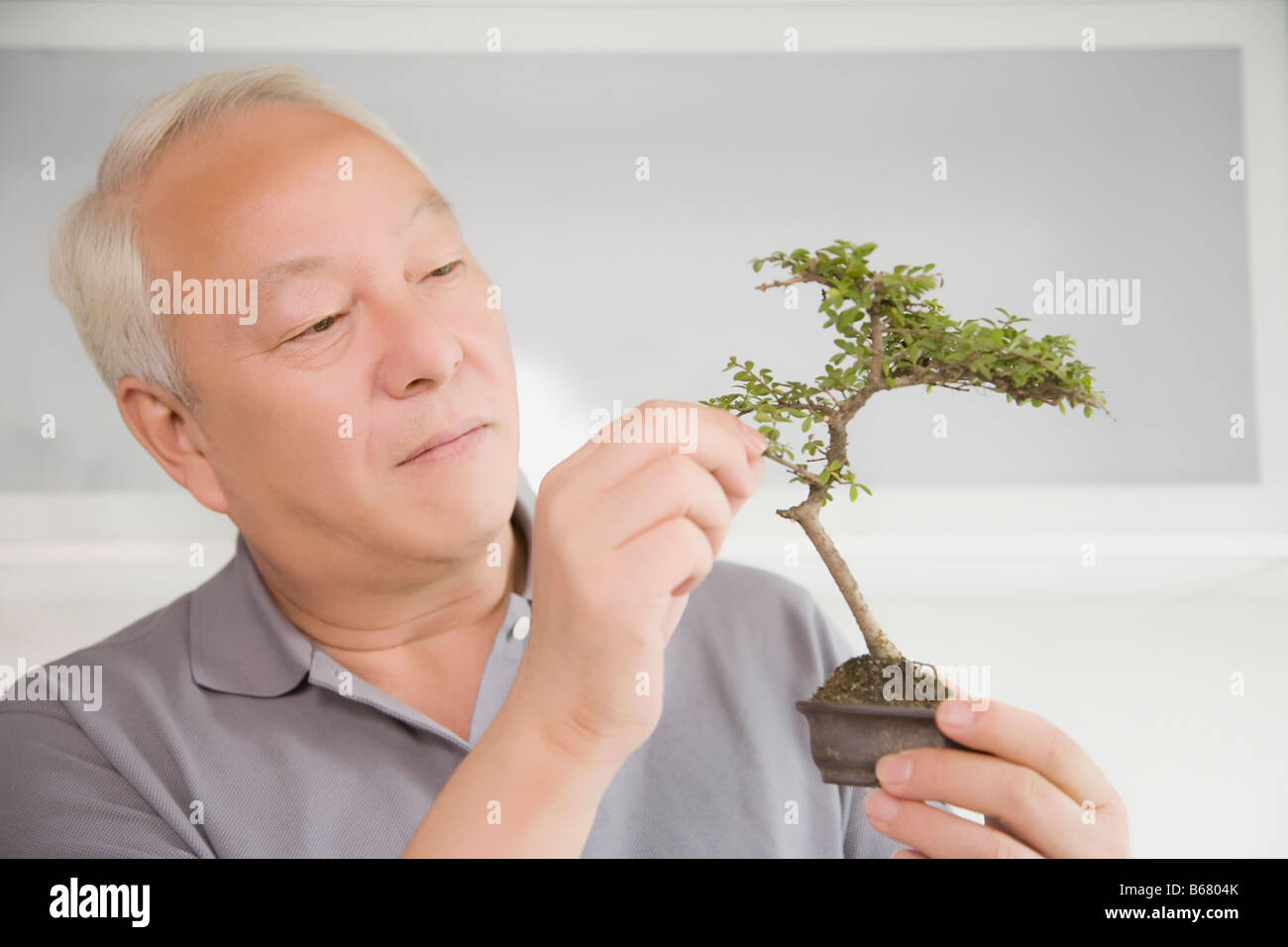 Close-up of a young man holding a bonsai Banque D'Images