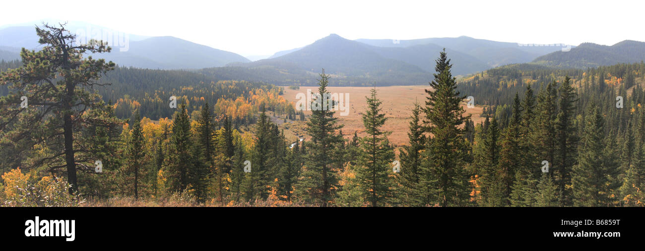 Sibbald flats, dans la région de Kananaskis, Alberta Banque D'Images