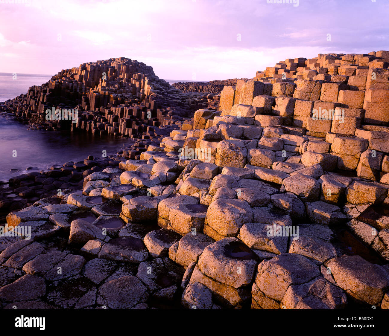 Chaussée des Géants, en Irlande du Nord, Royaume-Uni, la Chaussée des géants du parc national dans le comté d'Antrim Septembre formations de roche de basalte Banque D'Images