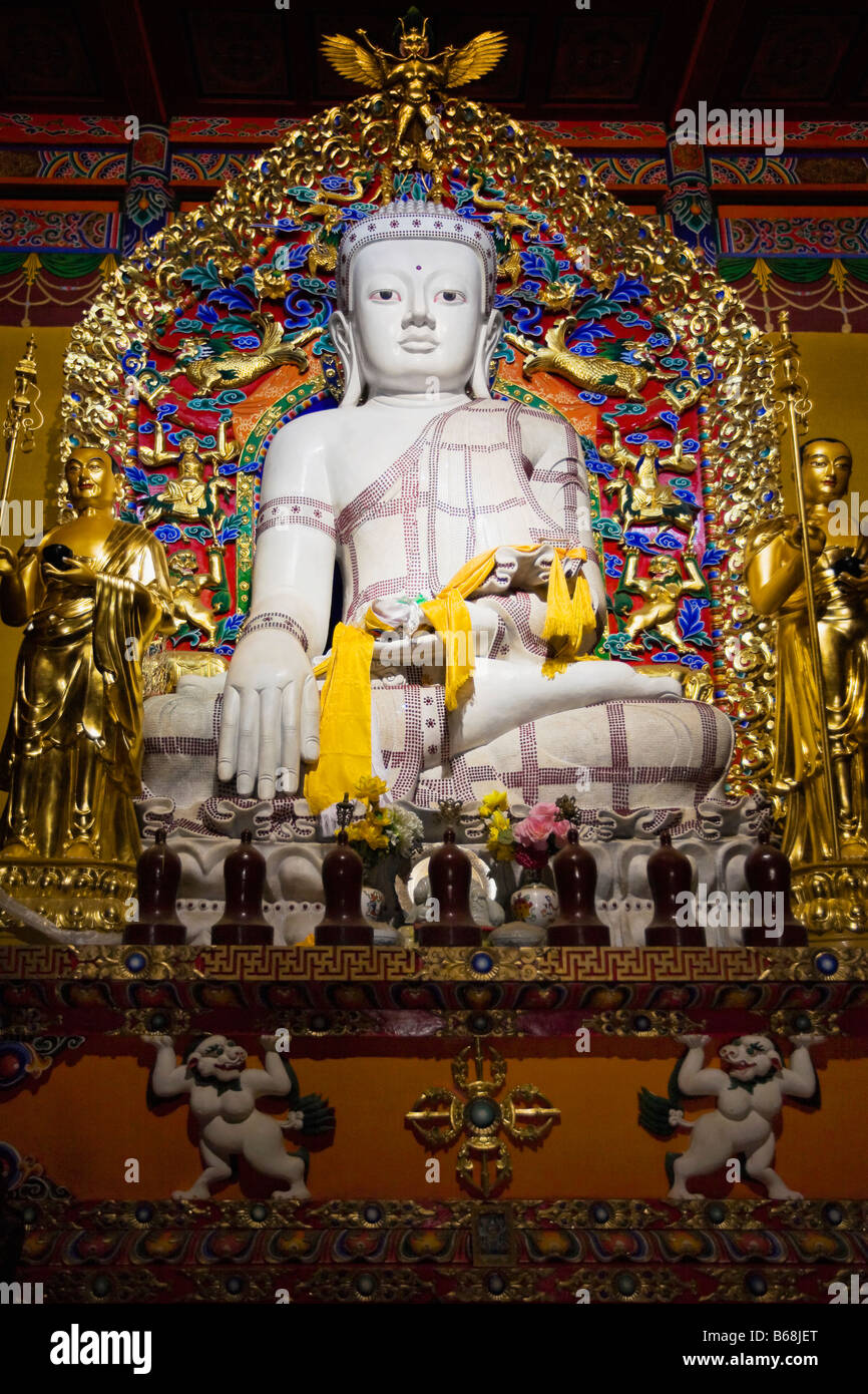 Low angle view of a statue de Bouddha, Temple Da Zhao, Hohhot, Inner Mongolia, China Banque D'Images