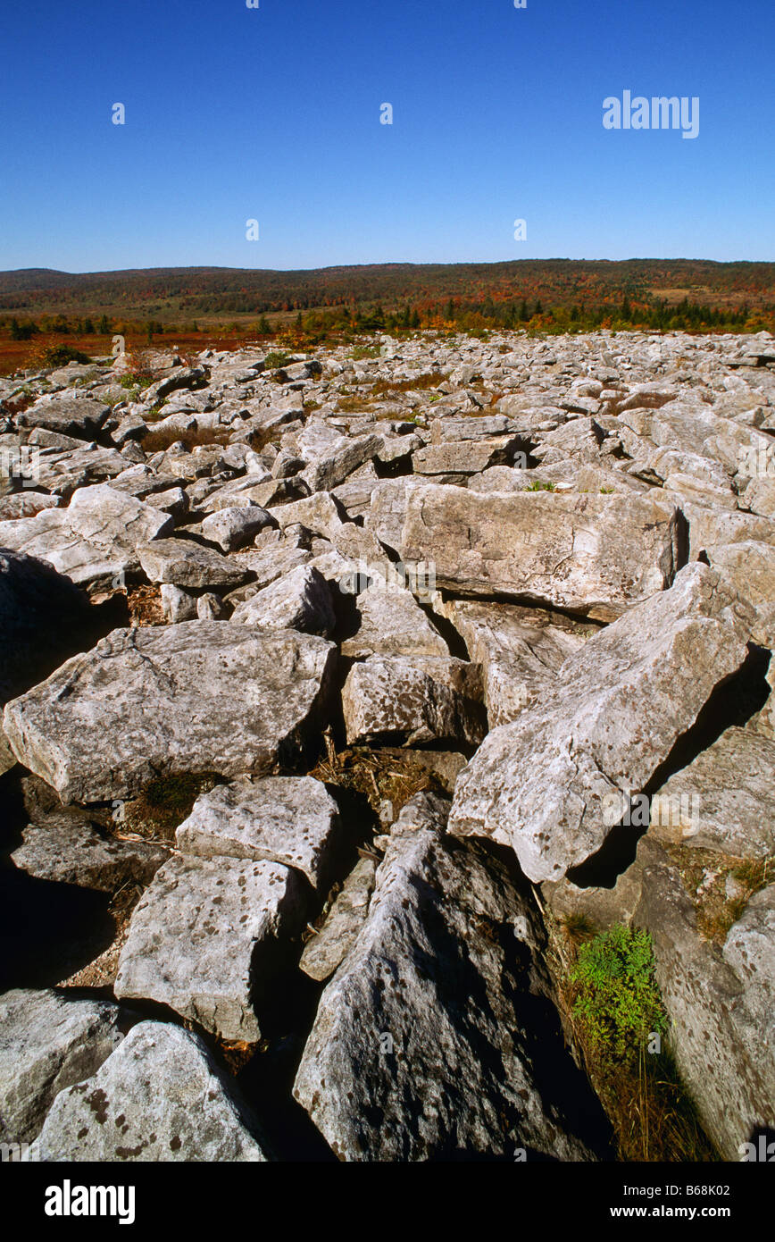 Donnent sur la montagne Dolly Sods Virginie-occidentale Banque D'Images