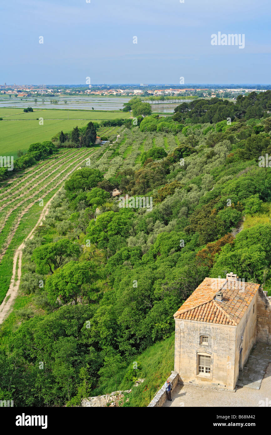 Vue depuis la tour Pons de l'Orme abbaye de Montmajour, près de Arles Provence France Banque D'Images