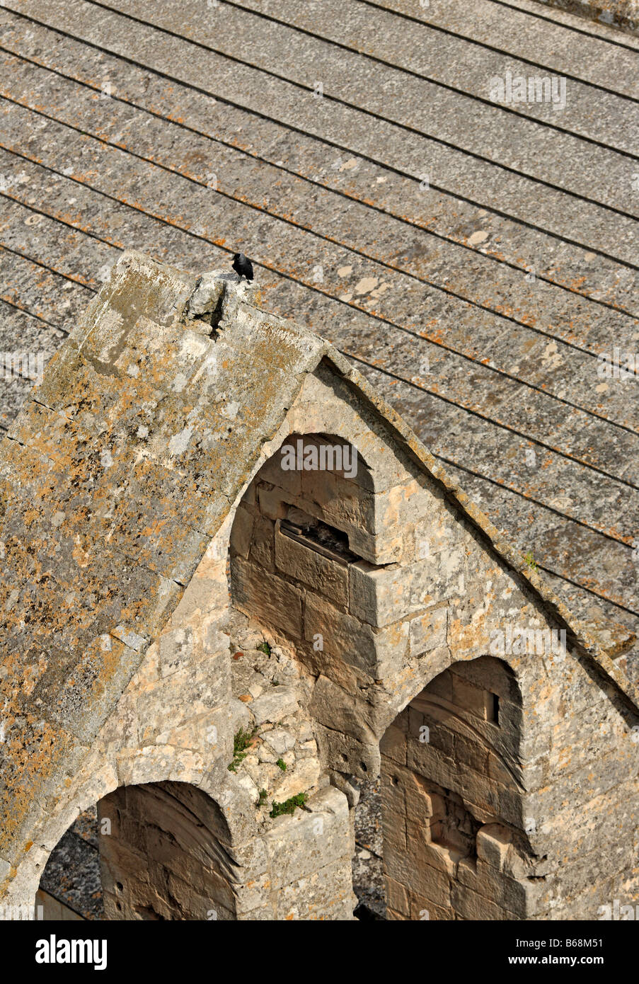 Toit de l'abbaye de Montmajour (12ème siècle), près d'Arles, Provence, France Banque D'Images